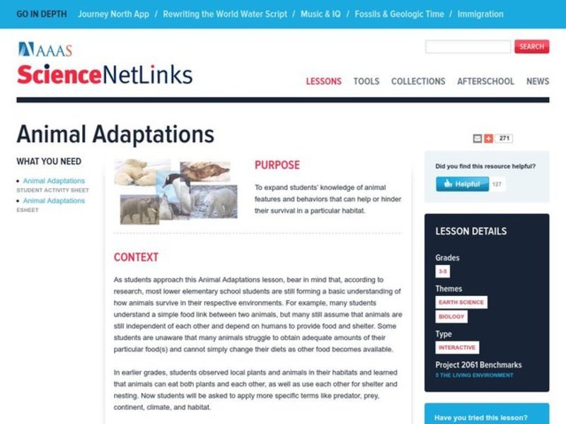 Animal Adaptations Lesson Plan
