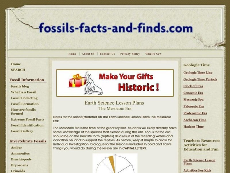 The Mesozoic Era Lesson Plan