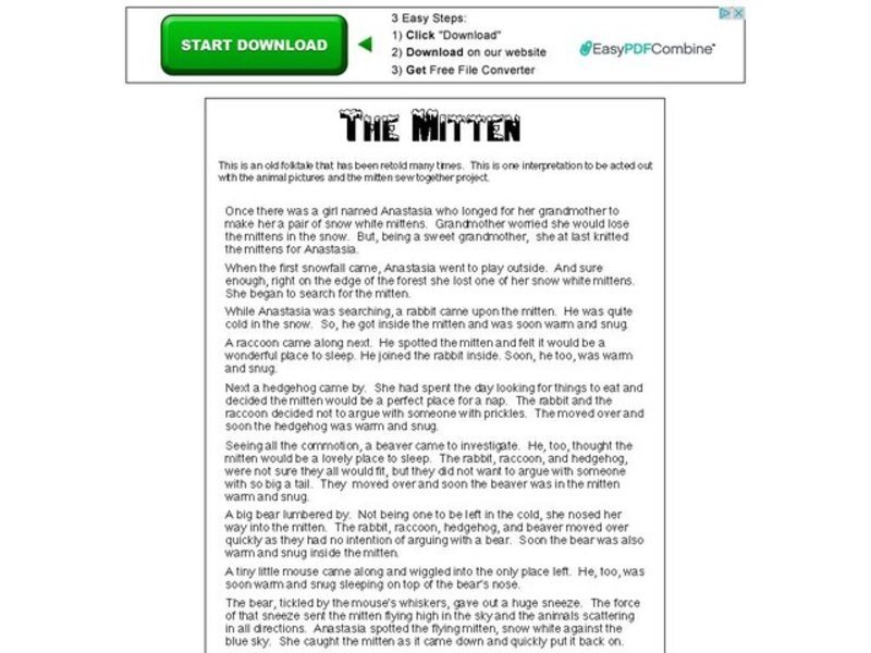 The Mitten Organizer