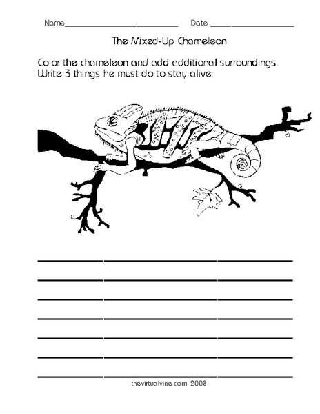 The Mixed-Up Chameleon Worksheet