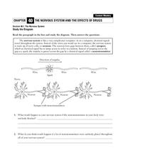 The Nervous System Worksheet