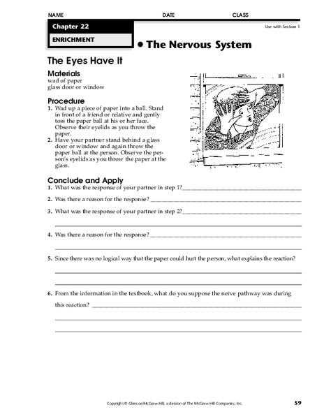 The Nervous System Worksheet