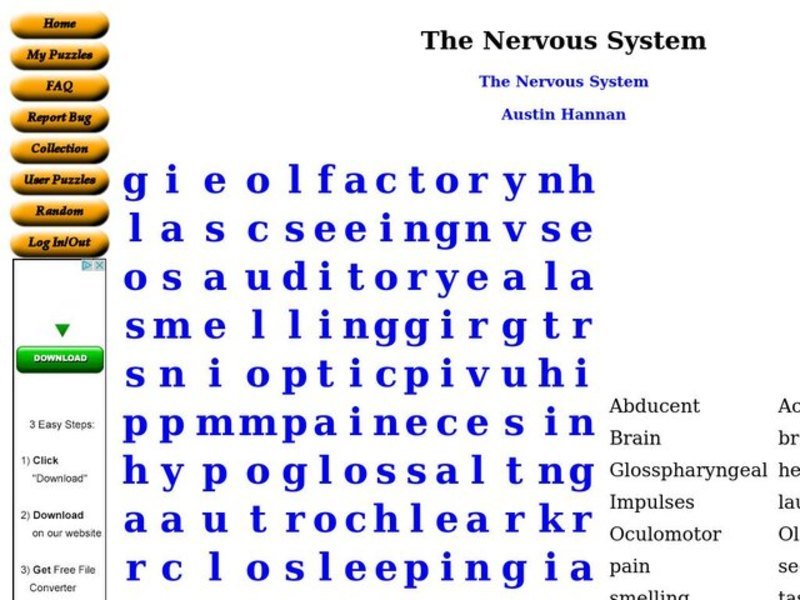 The Nervous System Worksheet