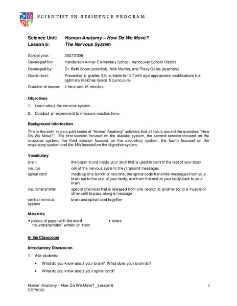 The Nervous System Lesson Plan