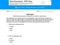 The Nightingale Worksheet