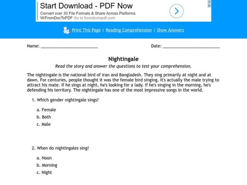 The Nightingale Worksheet