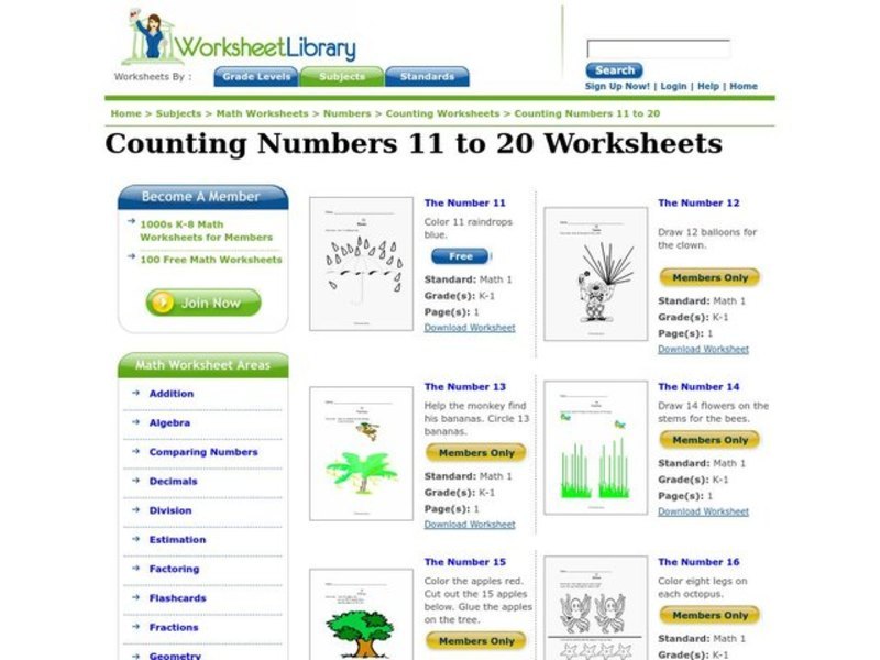 The Number 11 Worksheet