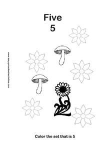 The Number Five Worksheet