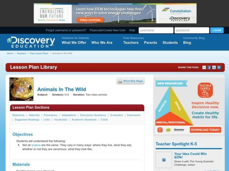 Animals in the Wild Lesson Plan