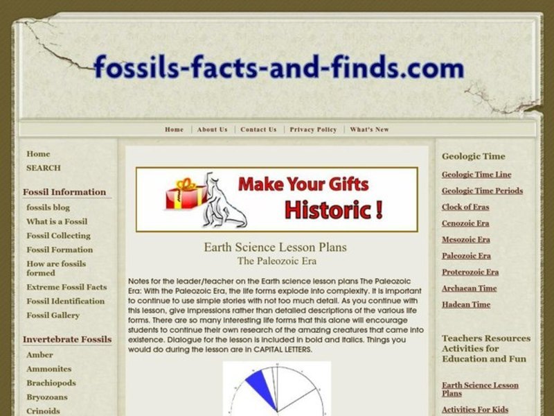 The Paleozoic Era Lesson Plan
