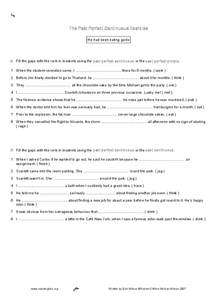 The Past Perfect Continuous Exercise Worksheet