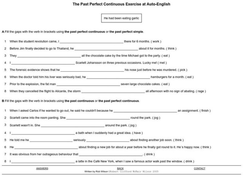 The Past Perfect Continuous Exercise Interactive