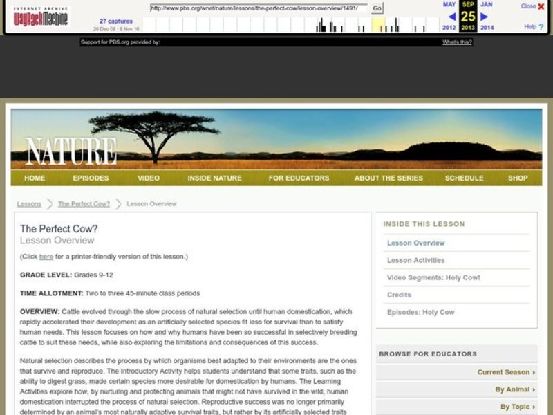 The Perfect Cow? Lesson Plan