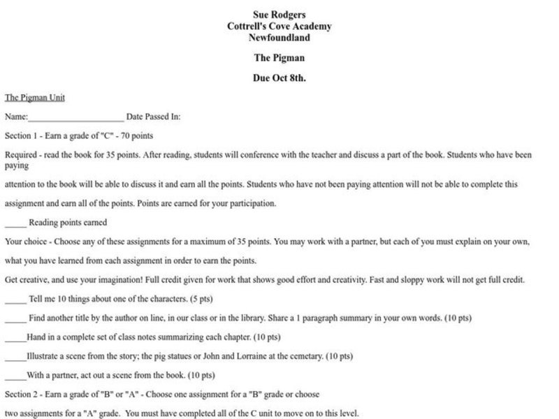 The Pigman Lesson Plan