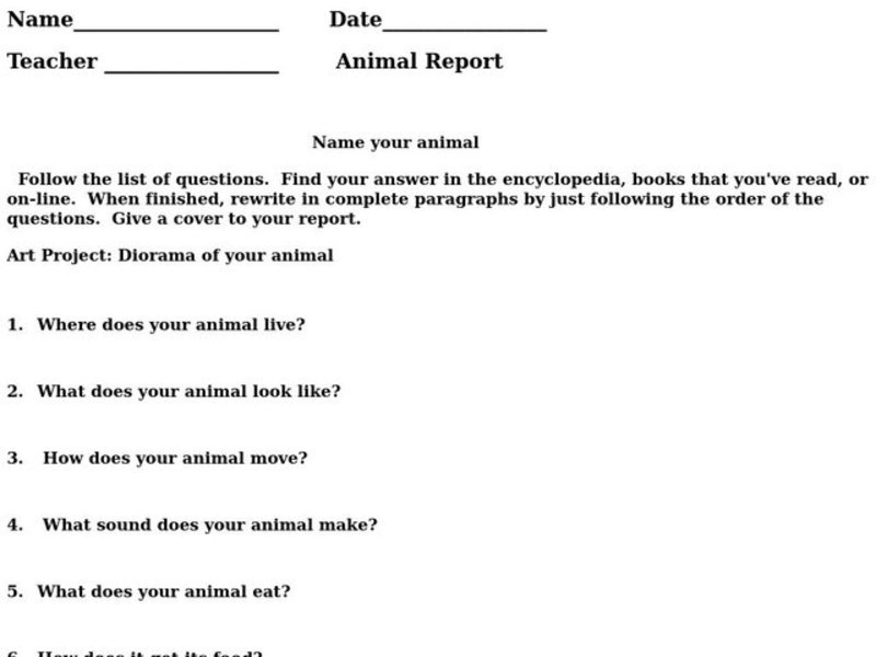 Animal Report Worksheet