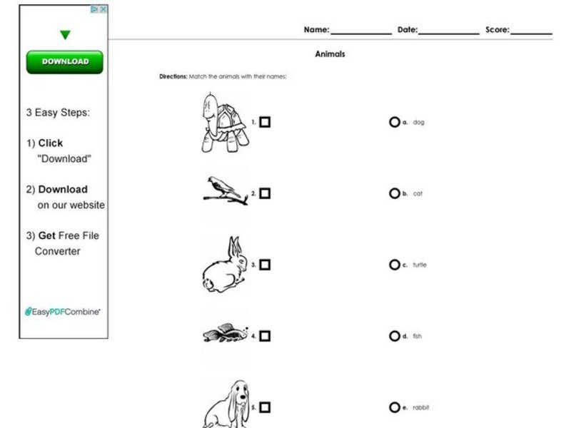 Animals Matching Worksheet