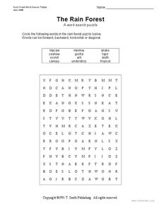 The Rain Forest Lesson Plan