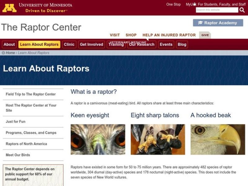 The Rain Forest Lesson Plan