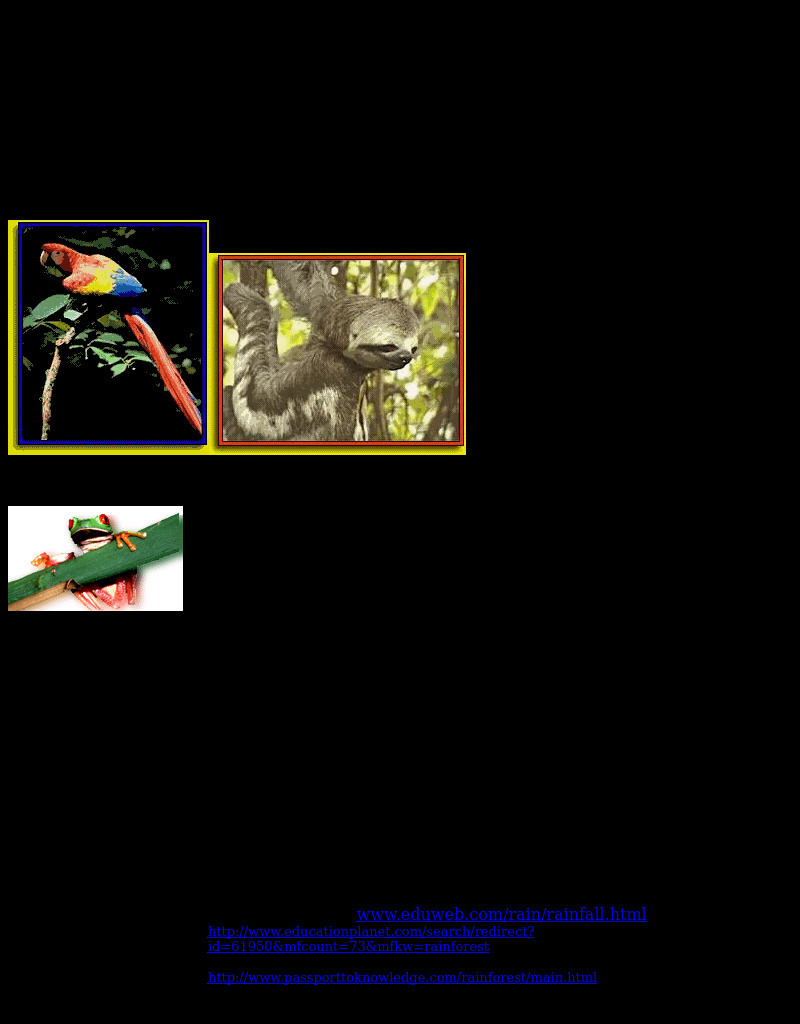 The Rainforest Lesson Plan