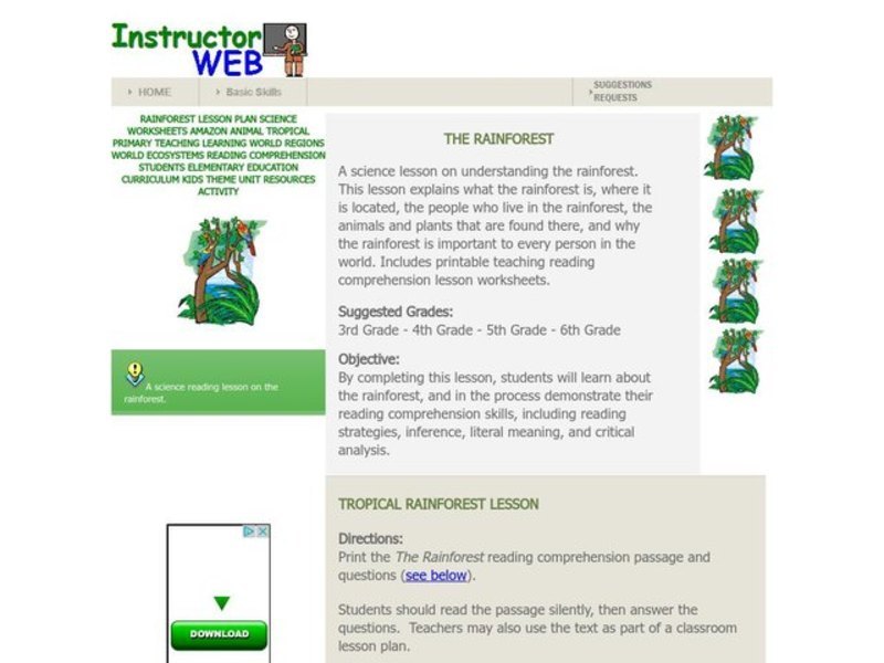 The Rainforest Lesson Plan
