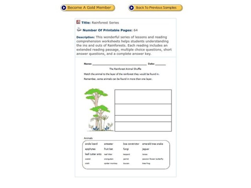 The Rainforest Animal Shuffle Worksheet