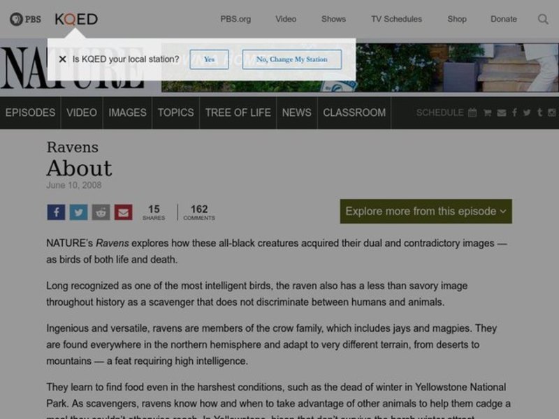 The Raven: Creator of the Universe? Lesson Plan