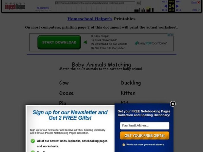 Animals Matching Worksheet