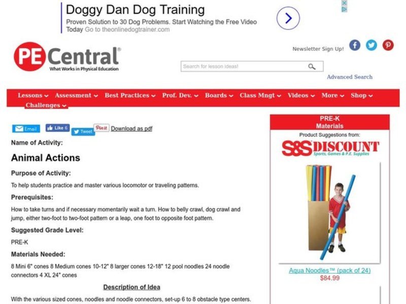 Animal Actions Lesson Plan