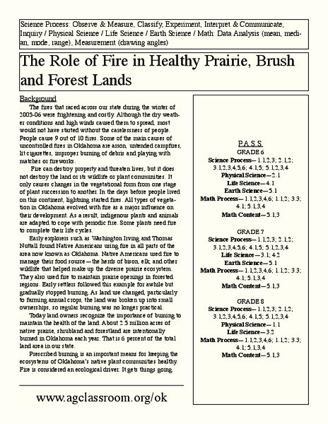The Role of Fire in Healthy Prairie, Brush and Forest Lands Lesson Plan