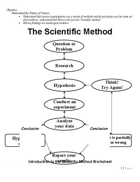 The Scientific Method Worksheet