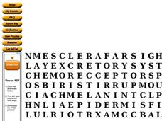 The Senses Worksheet