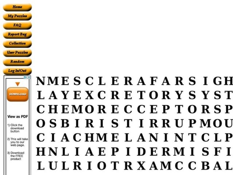 The Senses Worksheet