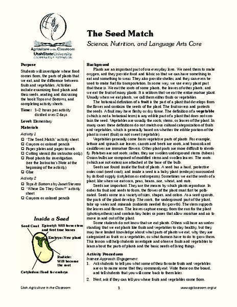 The Seed Match Lesson Plan