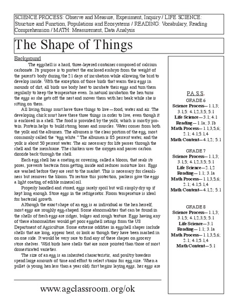 The Shape of Things Lesson Plan