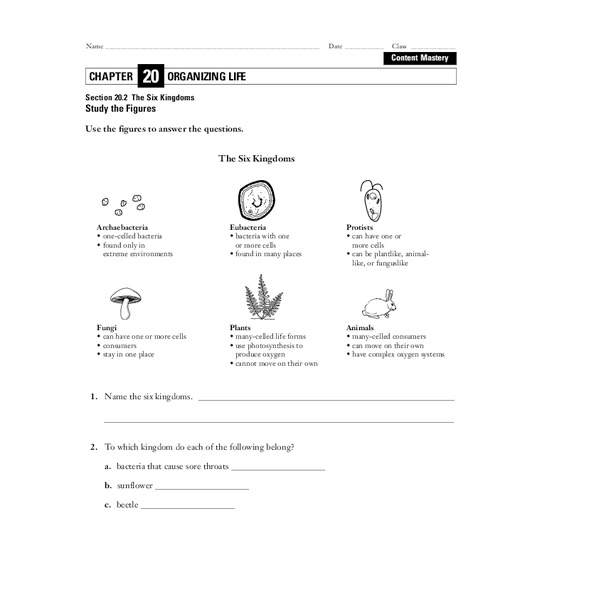 The Six Kingdoms Worksheet