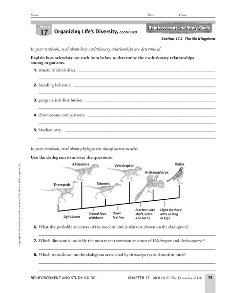 The Six Kingdoms Worksheet