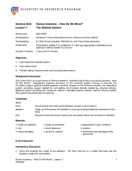 The Skeletal System Lesson Plan