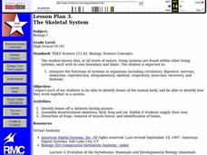 The Skeletal System Lesson Plan