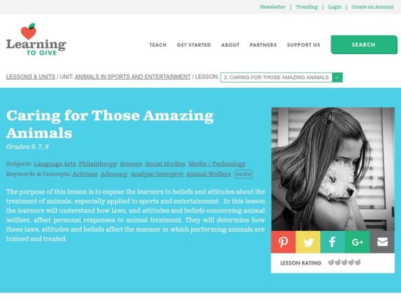 Animals in Sports and Entertainment Lesson Plan