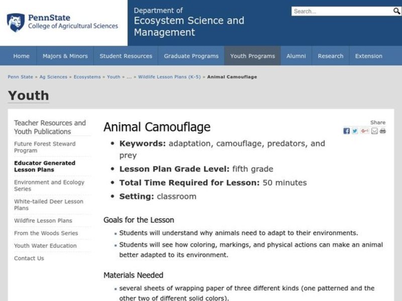 Animal Camouflage Lesson Plan