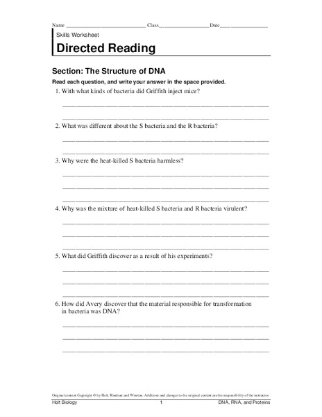 The Structure of DNA Worksheet