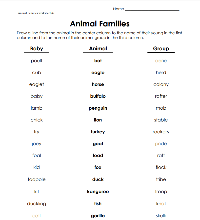 Animal Families Lesson Plan