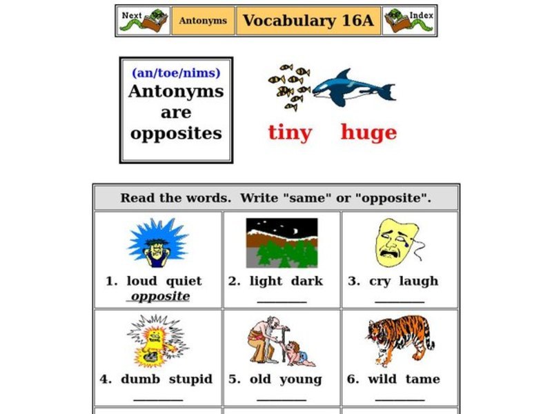 Antonyms are Opposites Worksheet