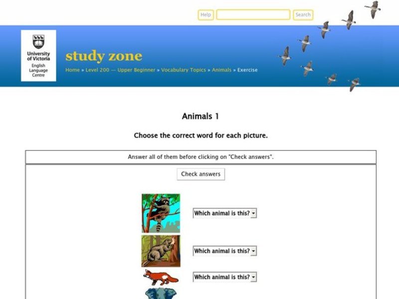 Animals Interactive