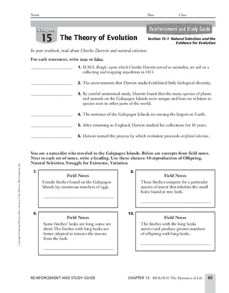 The Theory of Evolution Worksheet