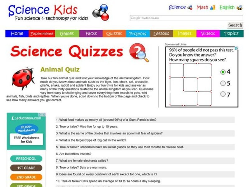 Animal Quiz Worksheet
