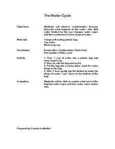 The Water Cycle Lesson Plan