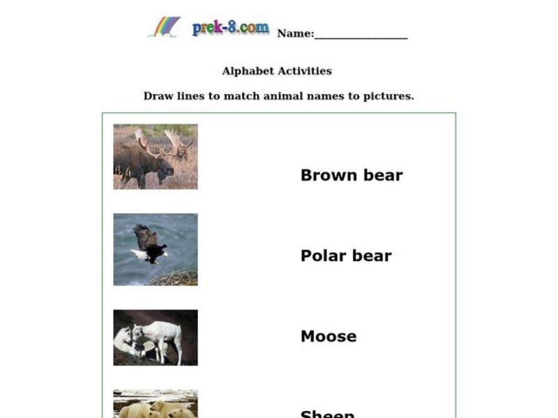 Animal Picture Match Worksheet