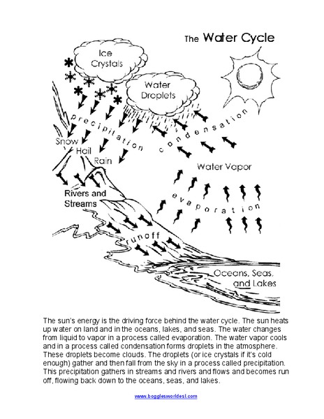 The Water Cycle Organizer