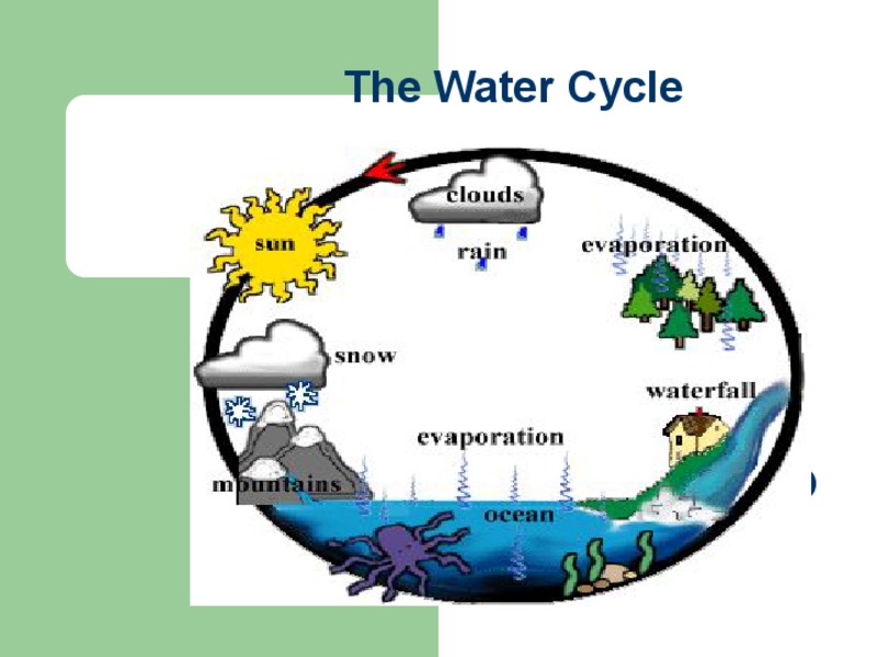 The Water Cycle PPT